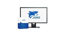 JAWS Screen Reader Basics and Introduction